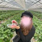 ヒメ日記 2026/02/05 07:50 投稿 つき 京都出張メンズエステChou Chou（シュシュ)