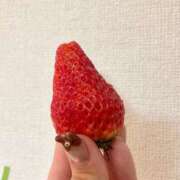 ヒメ日記 2026/02/17 20:50 投稿 つき 京都出張メンズエステChou Chou（シュシュ)