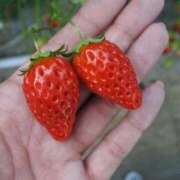 ヒメ日記 2026/02/18 21:50 投稿 つき 京都出張メンズエステChou Chou（シュシュ)