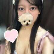 ヒメ日記 2025/03/22 01:30 投稿 みらい MINT（ミント）