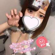 ヒメ日記 2025/03/25 08:30 投稿 うた MINT（ミント）