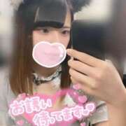 ヒメ日記 2025/03/28 14:17 投稿 うた MINT（ミント）