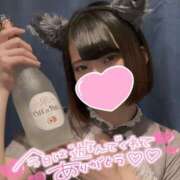 ヒメ日記 2025/04/04 17:58 投稿 うた MINT（ミント）