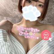 ヒメ日記 2025/04/07 08:15 投稿 うた MINT（ミント）