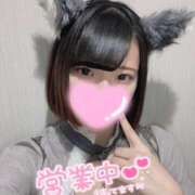 ヒメ日記 2025/04/09 14:28 投稿 うた MINT（ミント）