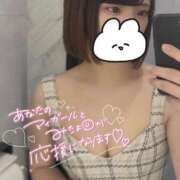 ヒメ日記 2025/04/11 07:45 投稿 うた MINT（ミント）