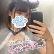 ヒメ日記 2025/04/25 15:51 投稿 うた MINT（ミント）