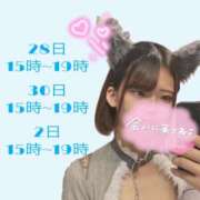 ヒメ日記 2025/04/27 17:30 投稿 うた MINT（ミント）