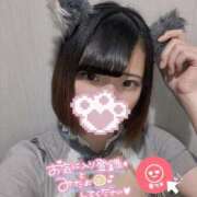 ヒメ日記 2025/05/16 15:12 投稿 うた MINT（ミント）