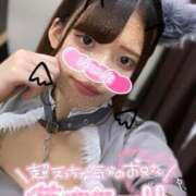 ヒメ日記 2025/05/20 15:03 投稿 うた MINT（ミント）