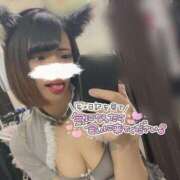 ヒメ日記 2025/05/23 12:01 投稿 うた MINT（ミント）