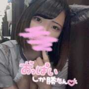 ヒメ日記 2025/05/27 08:01 投稿 うた MINT（ミント）