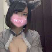 ヒメ日記 2025/06/09 15:10 投稿 うた MINT（ミント）