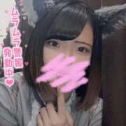 ヒメ日記 2025/06/12 15:25 投稿 うた MINT（ミント）