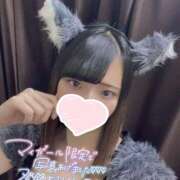 ヒメ日記 2025/06/15 19:30 投稿 うた MINT（ミント）