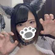 ヒメ日記 2025/06/17 12:30 投稿 うた MINT（ミント）