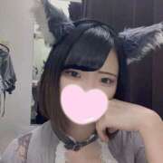 ヒメ日記 2025/06/24 17:24 投稿 うた MINT（ミント）