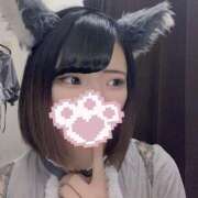 ヒメ日記 2025/07/03 15:56 投稿 うた MINT（ミント）