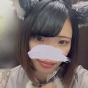 ヒメ日記 2025/07/07 18:02 投稿 うた MINT（ミント）