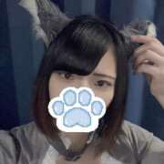 ヒメ日記 2025/07/08 13:01 投稿 うた MINT（ミント）