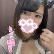 ヒメ日記 2025/07/18 14:53 投稿 うた MINT（ミント）