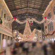 ヒメ日記 2024/12/14 18:51 投稿 めぐ MINT（ミント）