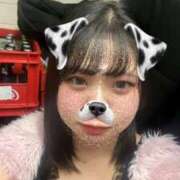 ヒメ日記 2025/02/03 22:48 投稿 めぐ MINT（ミント）