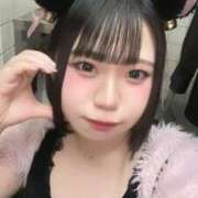 ヒメ日記 2025/03/30 22:37 投稿 めぐ MINT（ミント）