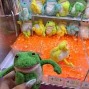 ヒメ日記 2025/06/10 21:56 投稿 めぐ MINT（ミント）