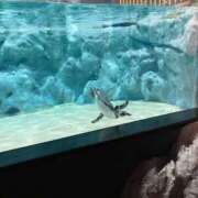 ヒメ日記 2025/06/24 13:00 投稿 めぐ MINT（ミント）