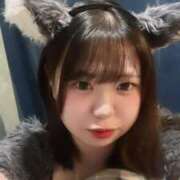 ヒメ日記 2025/07/07 19:41 投稿 めぐ MINT（ミント）