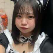 ヒメ日記 2025/07/29 12:02 投稿 めぐ MINT（ミント）