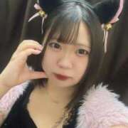 ヒメ日記 2025/07/29 15:00 投稿 めぐ MINT（ミント）