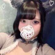 ヒメ日記 2025/10/24 16:00 投稿 めぐ MINT（ミント）