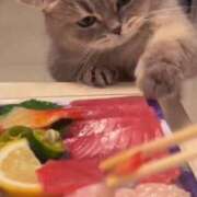 ヒメ日記 2025/10/29 14:00 投稿 めぐ MINT（ミント）