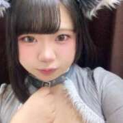 ヒメ日記 2025/11/13 16:01 投稿 めぐ MINT（ミント）