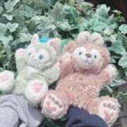 ヒメ日記 2025/12/14 14:00 投稿 めぐ MINT（ミント）