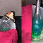 ヒメ日記 2026/03/31 17:00 投稿 のあ MINT（ミント）