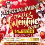 ヒメ日記 2025/02/01 14:00 投稿 さんご チューリップ姫路店