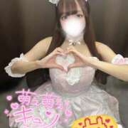 ヒメ日記 2025/01/17 19:04 投稿 ふわり MINT（ミント）