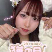 ヒメ日記 2025/02/22 22:02 投稿 ふわり MINT（ミント）