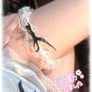 ヒメ日記 2025/01/17 12:30 投稿 きい MINT（ミント）