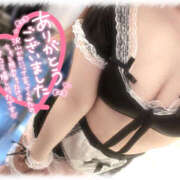 ヒメ日記 2025/01/18 12:18 投稿 きい MINT（ミント）