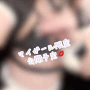 ヒメ日記 2025/01/18 15:00 投稿 きい MINT（ミント）