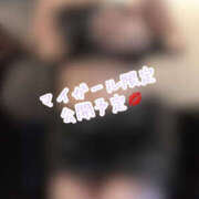 ヒメ日記 2025/01/20 15:00 投稿 きい MINT（ミント）