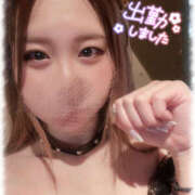 ヒメ日記 2025/02/06 10:51 投稿 きい MINT（ミント）