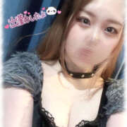 ヒメ日記 2025/02/11 10:20 投稿 きい MINT（ミント）