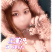 ヒメ日記 2025/03/17 10:38 投稿 きい MINT（ミント）