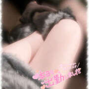 ヒメ日記 2025/03/22 10:55 投稿 きい MINT（ミント）