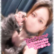 ヒメ日記 2025/03/23 10:55 投稿 きい MINT（ミント）